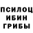 Галлюциногенные грибы прущие грибы Wael alhanayan