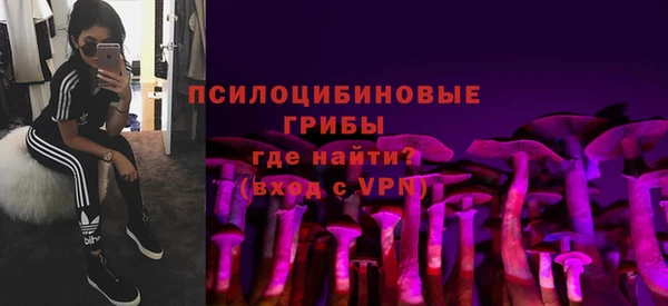 мяу мяу мука Алексин